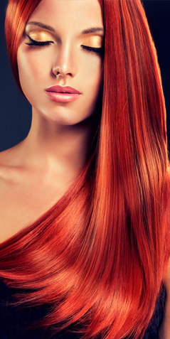 Damenfrisuren